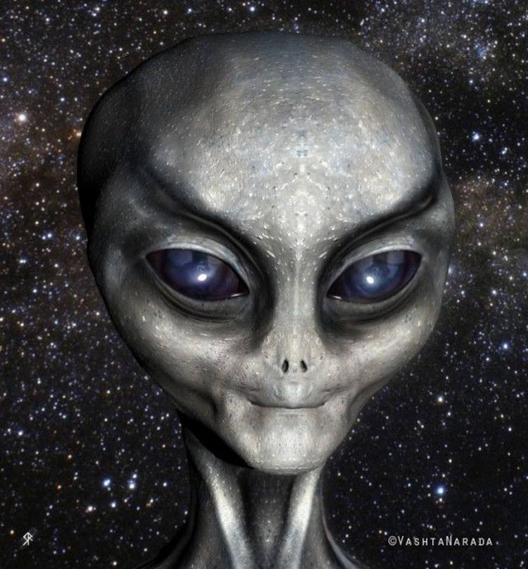 80g-De-Greys-of-Zetas- 80g-De-Greys-of-Zetas-