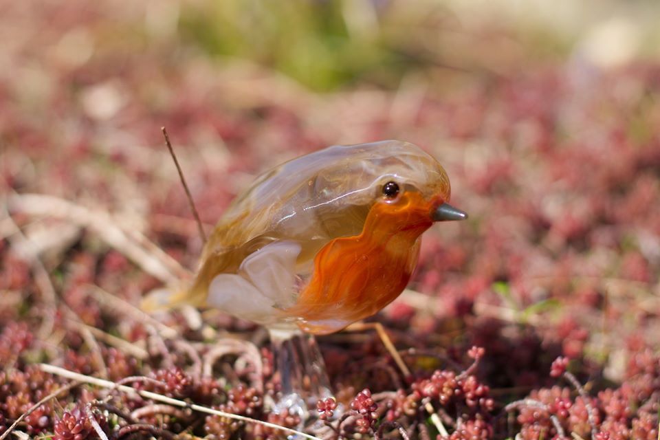 9835989730383452428814513200708997342560256o 9835989730383452428814513200708997342560256o