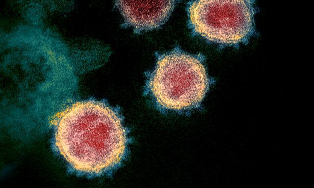 01-Het-Corona-virus 01-Het-Corona-virus