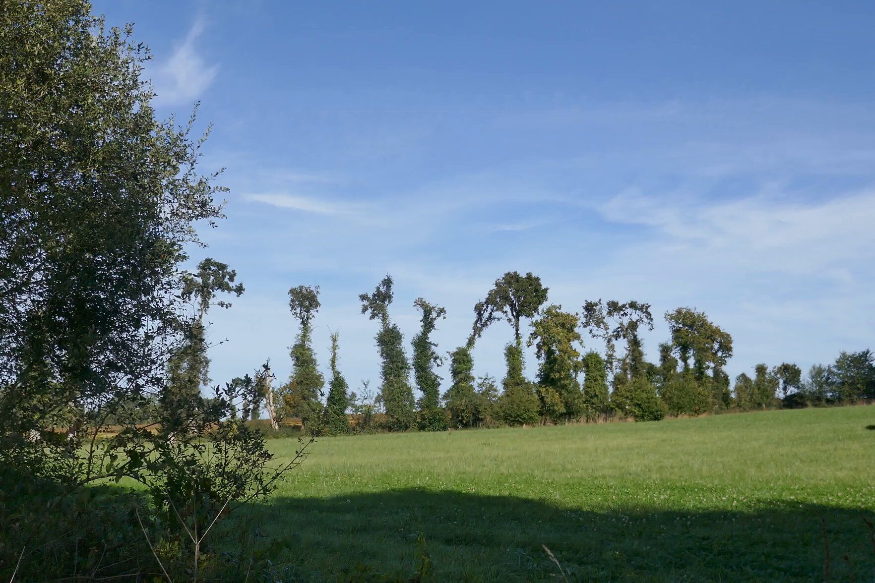 46-De-uitlaatplek-van-Spirit 46-De-uitlaatplek-van-Spirit000