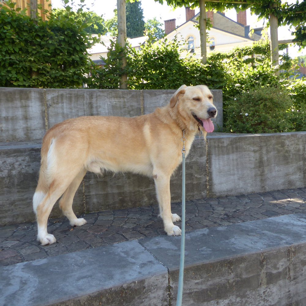 05-Spirit-helemaal-happy 05-Spirit-helemaal-happy